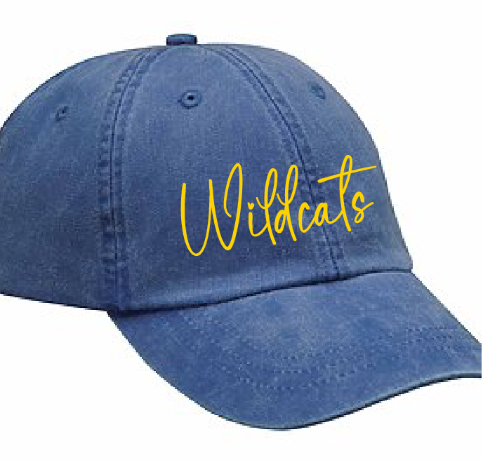 Hat-Wildcats Cap
